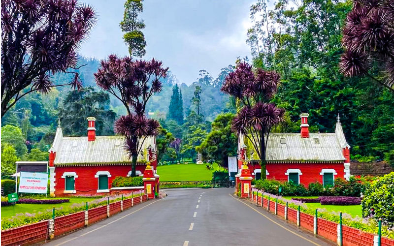 Government Botanical Garden, Ooty