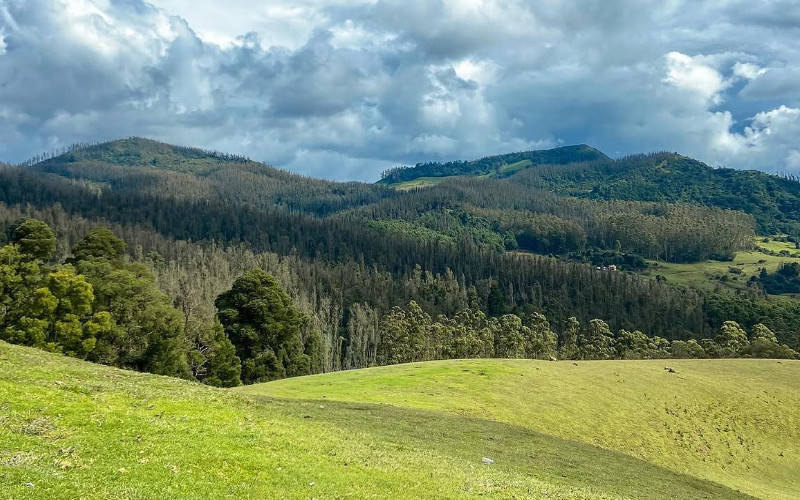 Perfect 2 Day Ooty Itinerary