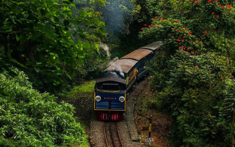 Top 10 Places to Visit in Ooty