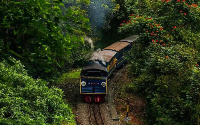 Top 10 tourist places to visit in Ooty